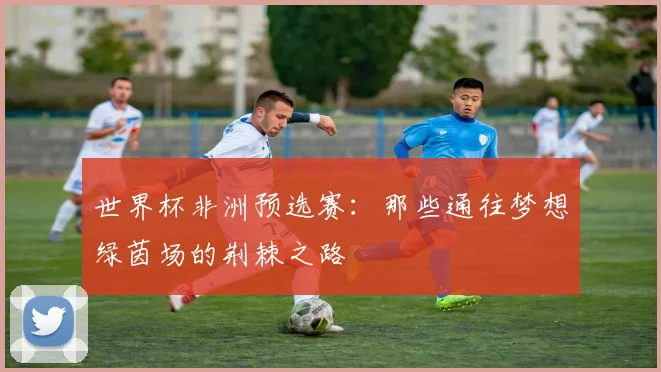 世界杯非洲预选赛:那些通往梦想绿茵场的荆棘之路