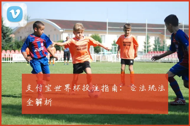支付宝世界杯投注指南:合法玩法全解析