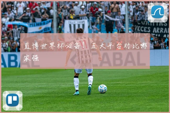 直博世界杯必备！五大平台对比哪家强