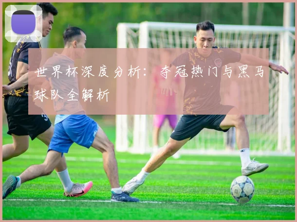 世界杯深度分析:夺冠热门与黑马球队全解析