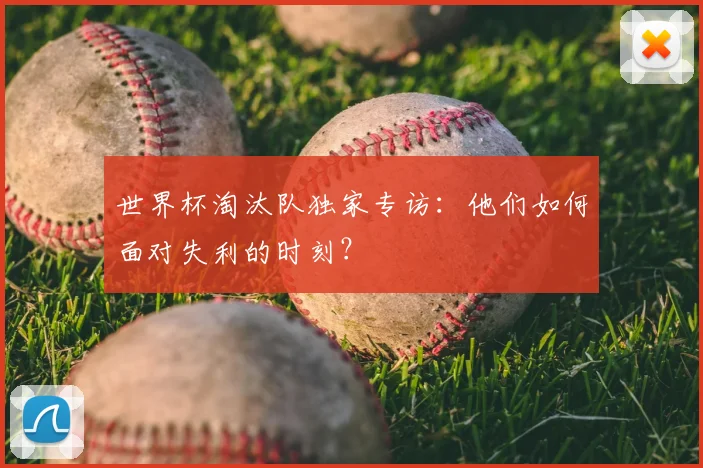 世界杯淘汰队独家专访：他们如何面对失利的时刻？