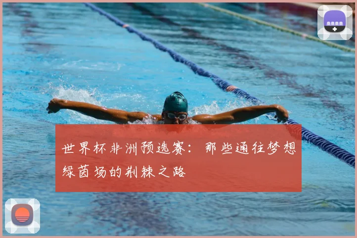 世界杯非洲预选赛:那些通往梦想绿茵场的荆棘之路
