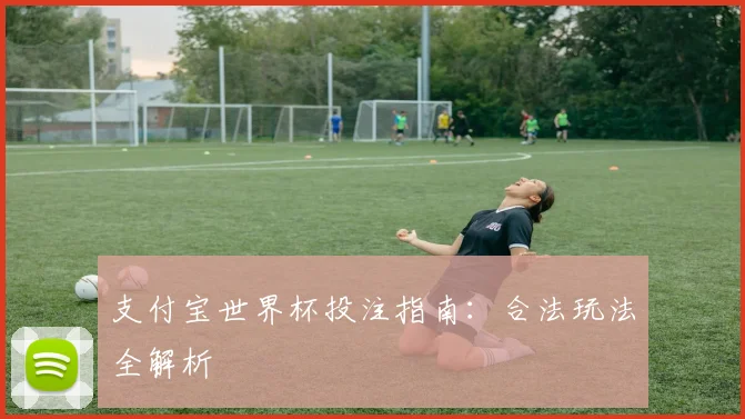 支付宝世界杯投注指南：合法玩法全解析